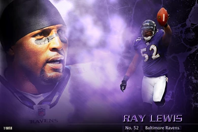 Ravens Wallpapers HD Desktop Wallpapers