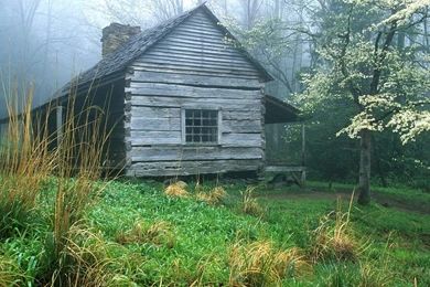 Cool HD Wallpapers Natural Beauty