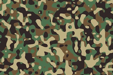Free Vector Graphic: Army, Background, Brown, Camouflage   Free ...