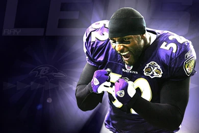 Baltimore Ravens Exclusive HD Wallpapers