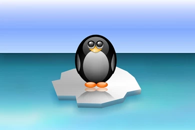 Cute Penguin Wallpapers » WallDevil   Best Free HD Desktop And ...