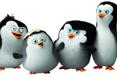 Penguins Of Madagascar Wallpaper, Movies / Animation: Penguins Of ...