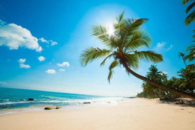 Beach Theme Wallpapers   Wallpapers Zone