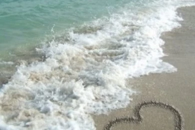 iPhone Wallpaper Valentine's Day / Nature Tjn