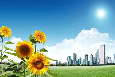 Latest high rise building wallpaper screensaver 2012 2013 ...