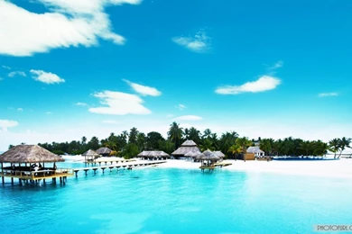 Latest Summer Wallpapers 2013