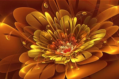 Red Flowers   Yellow Flower Images Pictures Backgrounds Wallpapers ...