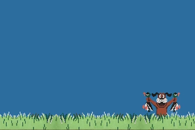Duck Hunt High Resolution