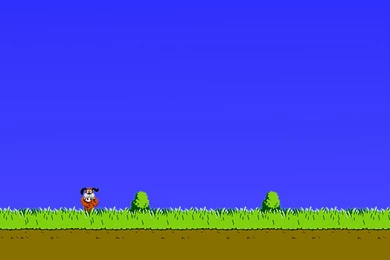 Duck Hunt