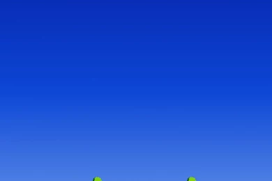 1024x1024 Retro: Duck Hunt Ipad Wallpapers