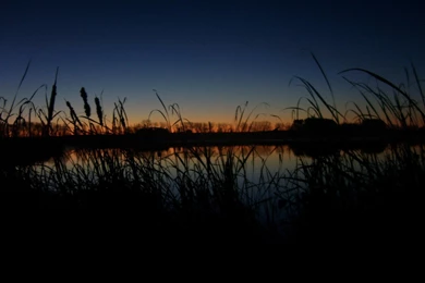 Hunting Backgrounds   Wallpapers Zone