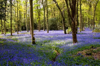 FREE Desktop Wallpapers Volume 1   Flow Interactive