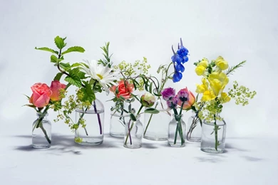 Download Wallpapers 3840x2400 Rose, Chamomile, Bluebells, Flowers ...