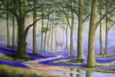 Into The Bluebell Woods By Monikaholloway On DeviantArt