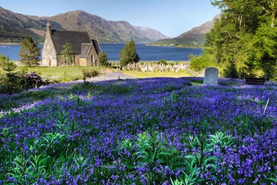 The Blue Bells Of Scotland'   Performed On The Guitar By Ulrich ...