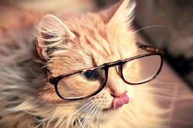 Tumblr wallpaper cute   A House Of Fun