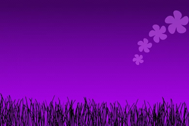 Purple Flower Wallpapers