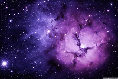 Purple Wallpapers 658