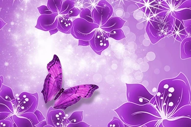 Purple Wallpapers 13 Best Wallpapers Collection