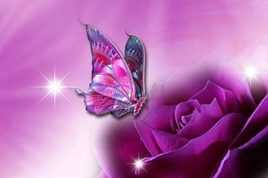 Purple Wallpapers HD   Android Apps On Google Play