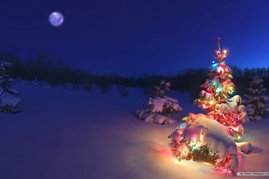 Holiday Wallpapers Collection (43+)