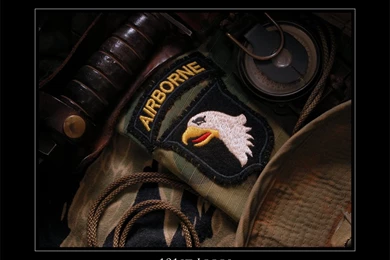 101st airborne division 101st lrrps giclee print 7.png