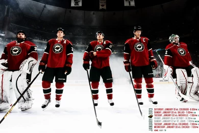 Alfa Img   Showing > MN Wild Desktop