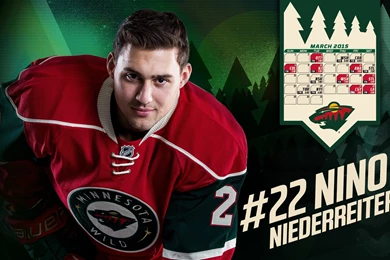 Wild Wallpapers   Minnesota WildDesktop And Mobile ...