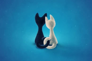 Black Cat White Cat, Cute, Mac, 1920x1200 HD Wallpapers And FREE ...