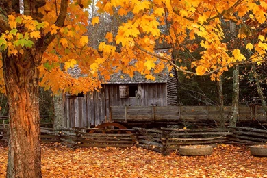 Beautiful, Cabin, Desktop, Background, High, Definition, Wallpapers ...