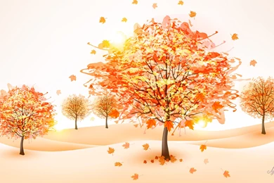 View, Flowers, Green, Cute Desktop Images, Mac Wallpaper, Amazing ...