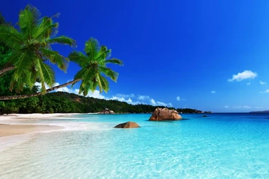 Tropical Island Backgrounds Hd Backgrounds (1)