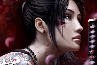 Ninja Fantasy Girl Wallpapers