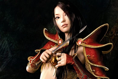 Ninja Fantasy Girl Wallpapers