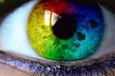 LGBT, 640x960 Pixels : Wallpapers Tagged LGBT.