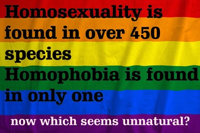 Rainbow wallpapers 99 hd wallpapers backgrounds   Youth Connect