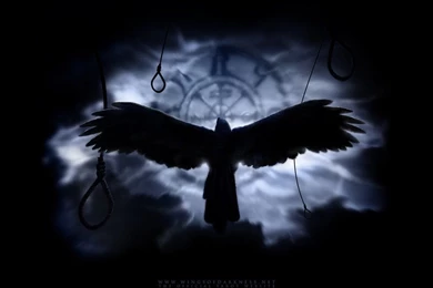 Crow Wallpapers   Wallpapers Cave