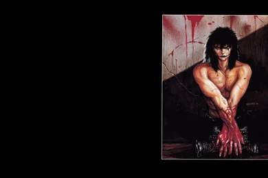 14 The Crow HD Wallpapers