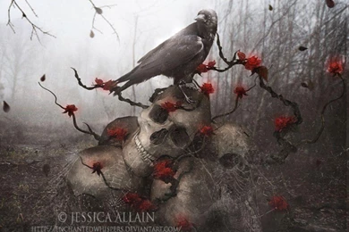 THE CROW WALLPAPER   (