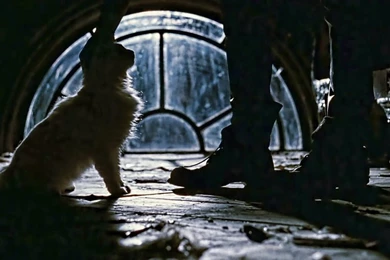 Search Results: 'The Crow'