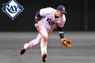 Evan Longoria Wallpapers