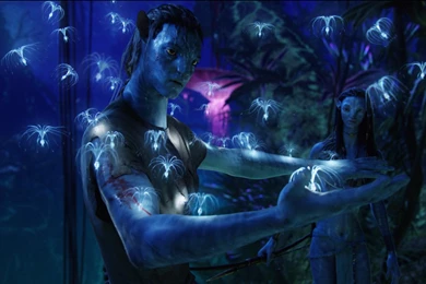 Avatar Wallpapers HD   Wallpapers Zone