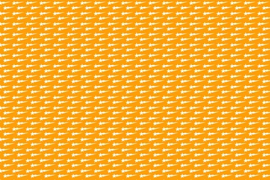 Ape Wallpapers   Wallpapers Cave