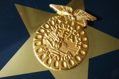 Ffa Emblem   Wallpapers COC