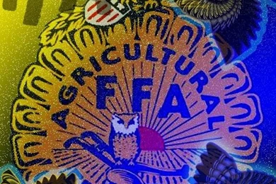 FFA By Unexplainableme On DeviantArt