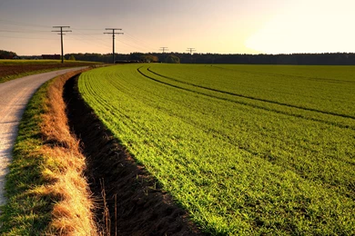 Download Free Wallpapers Collection (45+)