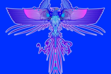 Charming Screensavers Site: Widespread Panic Screensaver