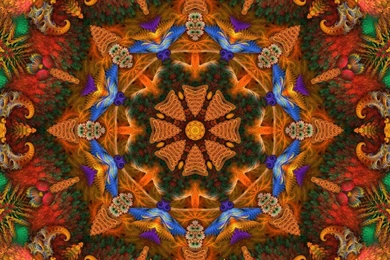 WOODSTOCK JAMBLOG (2004 2007): November 2005