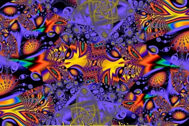 WOODSTOCK JAMBLOG (2004 2007): May 2005