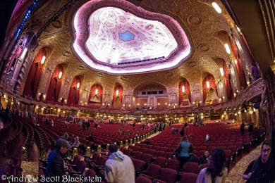 Top 12 Music Venues In The US To See Before You Die